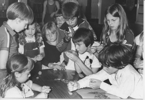 Junior school activity in school?